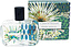 Fragonard Santal Cardamone
