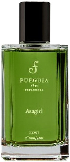 Fueguia 1833 Asagiri