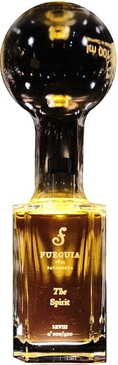 Fueguia 1833 The Spirit