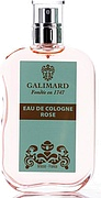 Galimard Rose