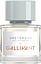 Gallivant Amsterdam