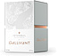 Gallivant Istanbul