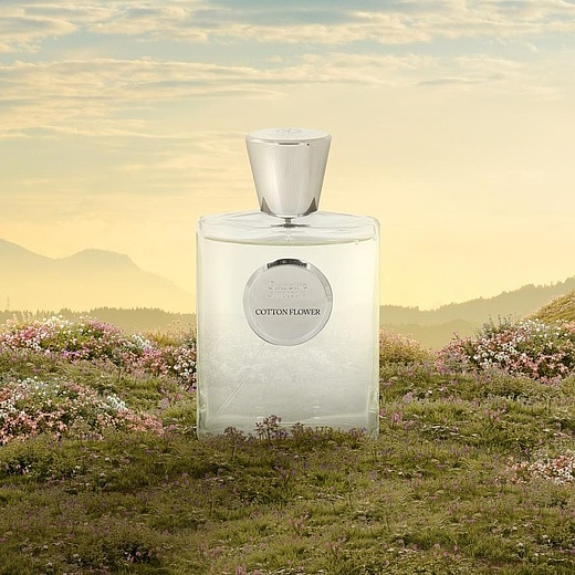 Giardino Benessere Cotton Flower