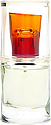 Givenchy Eau Torride