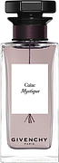 Givenchy Gaiac Mystique