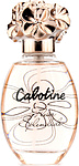 Gres Cabotine Fleur Splendide