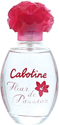 Gres Fleur de Passion