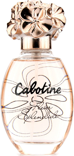 Gres Cabotine Fleur Splendide