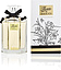 Gucci Flora by Gucci Glorious Mandarin