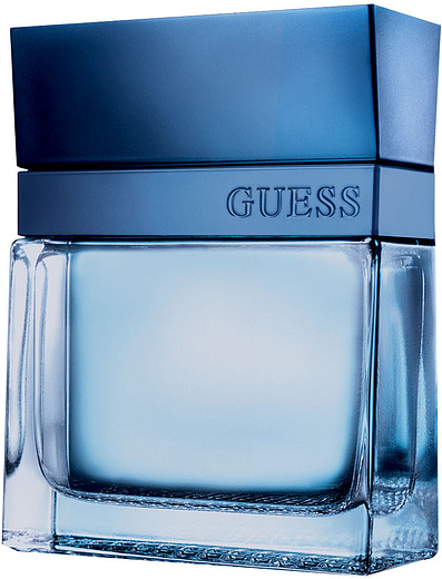 Guess Seductive Homme Blue
