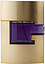 Guess Gold Man