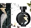 Haute Fragrance Company Devil`s Intrigue