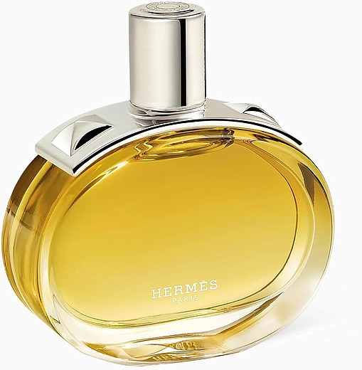 Hermes Barenia Intense