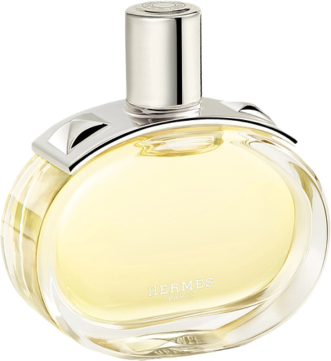Hermes Barenia