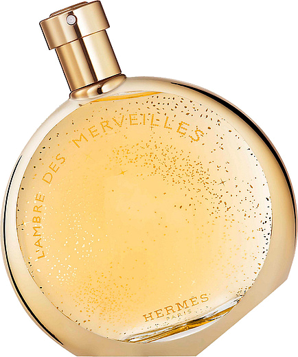 Hermes L Ambre des Merveilles