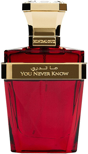 Hind Al Oud You Never Know