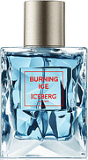 Iceberg Burning Ice