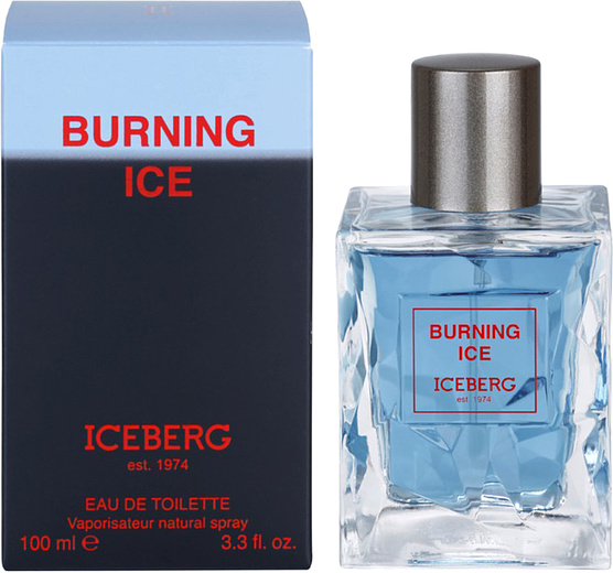 Iceberg Burning Ice