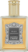 Il Profumo Black Dianthus