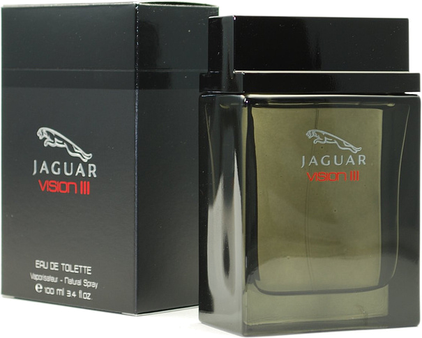 Jaguar Vision 3