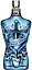 Jean Paul Gaultier Le Male Lover