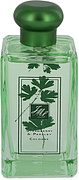 Jo Malone Wild Strawberry & Parsley