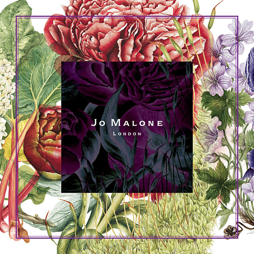 Jo Malone Peony & Moss