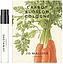 Jo Malone Carrot Blossom