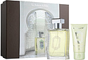 La Sultane de Saba The Vert Gingembre
