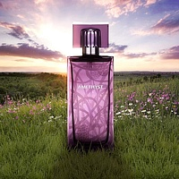 Lalique Amethyst