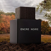 Lalique Encre Noire pour homme