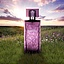 Lalique Amethyst