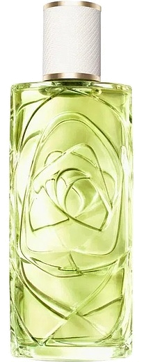 Lancome Off Now