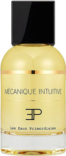 Les Eaux Primordiales Mecanique Intuitive