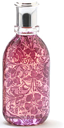 Liz Claiborne Vintage Soul by Curve