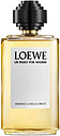 Loewe Amanece La Bella Cibeles