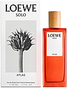 Loewe Solo Atlas