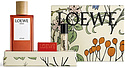 Loewe Solo Atlas