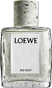 Loewe Iris Root