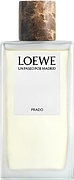 Loewe Prado