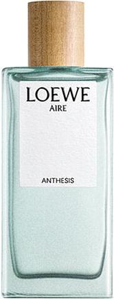 Loewe Aire Anthesis