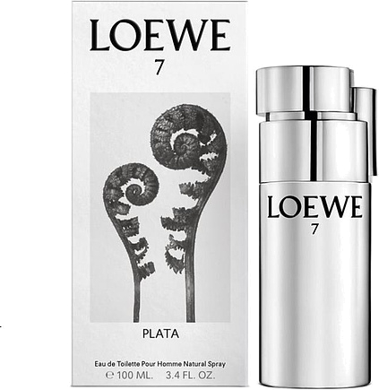 Loewe 7 Plata