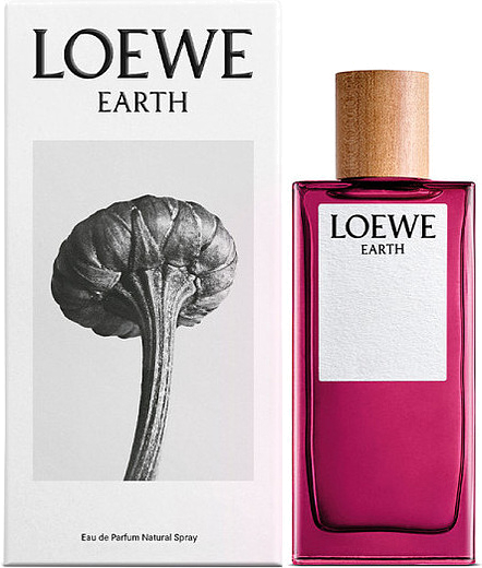 Loewe Earth