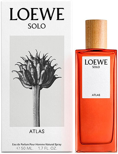 Loewe Solo Atlas