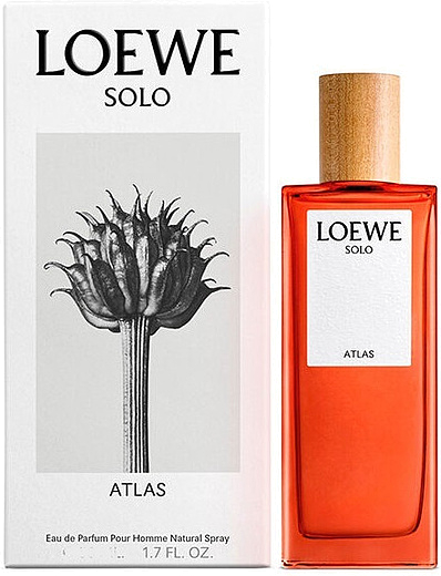 Loewe Solo Atlas