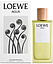 Loewe Agua De Loewe for her