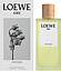 Loewe Aire Fantasia