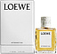 Loewe Bittersweet Oud
