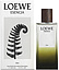 Loewe Esencia Elixir