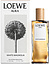 Loewe Loewe Aura White Magnolia